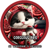 adybugVallentineavGorgeousArie vi