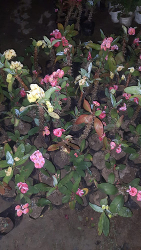 b32a15be 71b0 4a1b a657 9af1b9ae995f.jpg