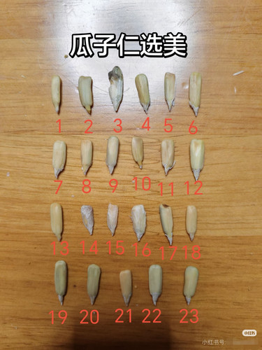 Camera 1040g3k831sqi2ie8lcdg5paq68a0l21pkijk4do edit 7079905690494682.jpg