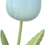 奇迹素材 (47).png