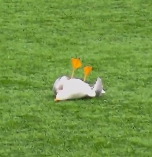 Screenshot 20260224 132418.jpg