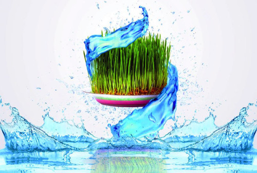 UnoRQNA5T2B6wCOLy Bxrovfqr9 KnW7uaIwPnHUJy4NCOUQudnxkV4dhn7Eo1rc6 PnBdnaaH2pXCkARguIboCU3GQGS2YmxX3I.jpg