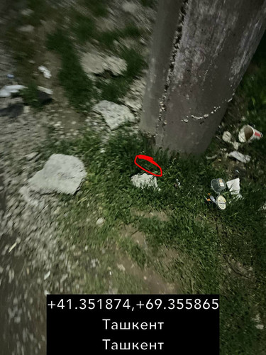 E1F38133 CD91 4EA6 88C5 2761BAAEE636.jpg