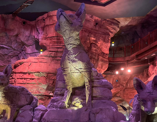 626288498 18181482268371998 1538668335196631138 n.png