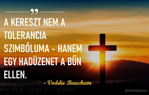 641606454 1381694277328167 3555045977066320717 n.jpg?stp=dst jpg p180x540 tt6& nc cat=108&ccb=1 7& n.jpg