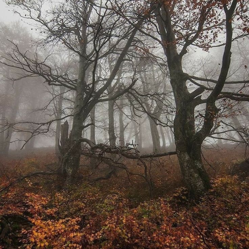 zan season late autumn.png