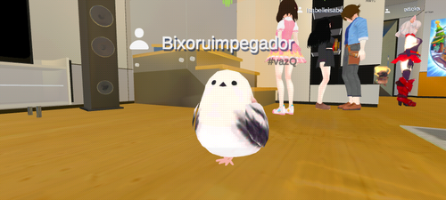 imagen.png