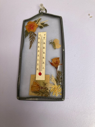 8dbfe02b8269.jpg