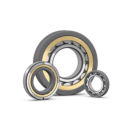 Insulated Bearing.webp