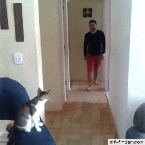 qKyVuSf.gif
