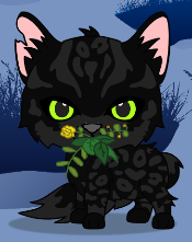 warriorcats minimaker (3).png