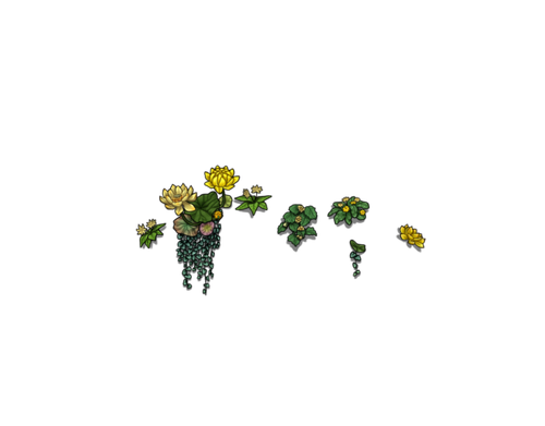 flowering yellow teenf.png