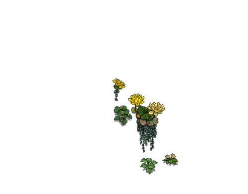 flowering yellow cub.png