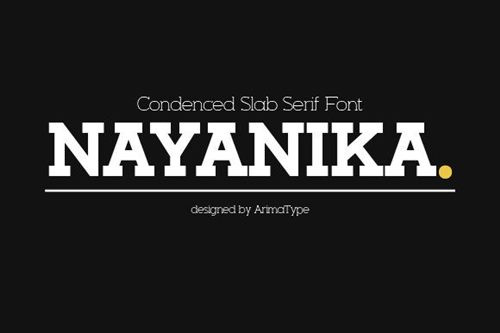Nayanika Font Family