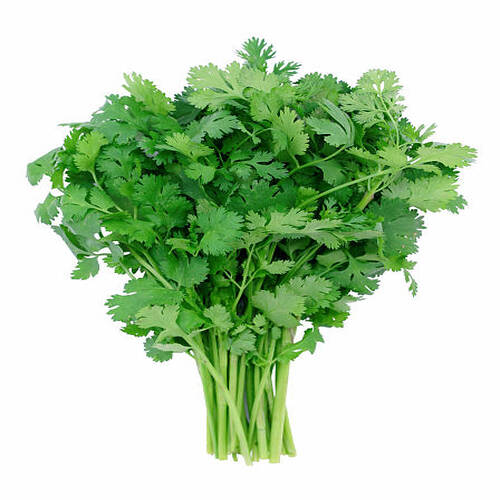"A bunch of fresh cilantro (also called coriander), isolated on white. Focus is sharpest in the cent.jpg