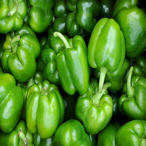 A close-up of a bunch of green peppers.jpg