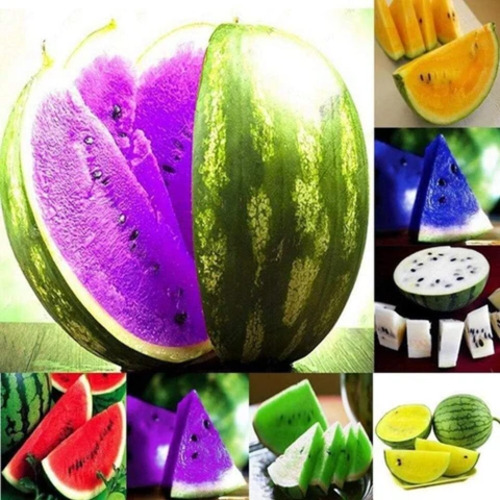 watermelon fruit1.jpg