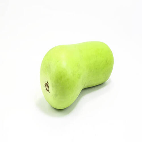 Calabash bottle gourd green vegetable on white background.jpg