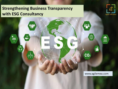 Strengthening Business Transparency with ESG Consultancy.jpg