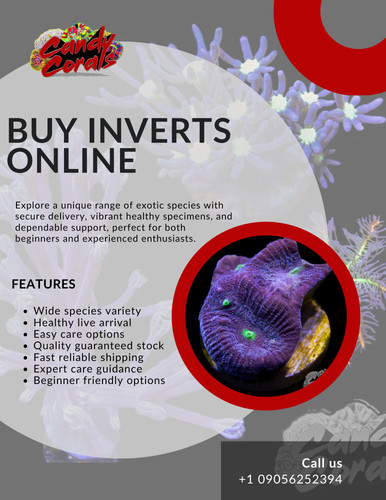 Buy Inverts Online – Premium Quality Invertebrates with Fast Delivery.jpg