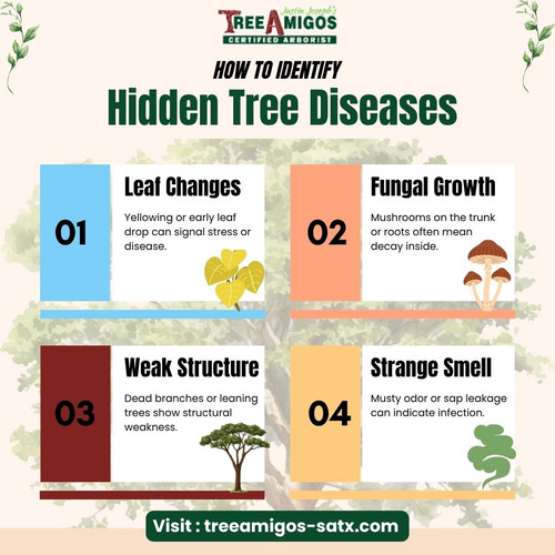 How to Identify Hidden Tree Diseases.jpg