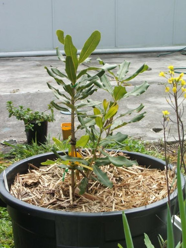 Da UJnEocvHdYxXAd5vzNYlMIkWEyS4BN7GOqkQMrIhZMKImKcXoiMX a6HJHW0Di8Cs1YoPutVVK54VM0Mfq6HNLcSwgp1Z2dKp.jpg