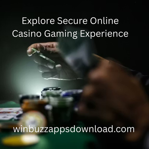 Explore Secure Online Casino Gaming Experience.jpg