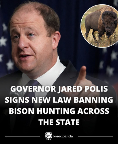 GOVERNOR JARED POLIS SIGNS NEW LAW BANNING BISON HUNTING ACROSS THE STATE.jpg