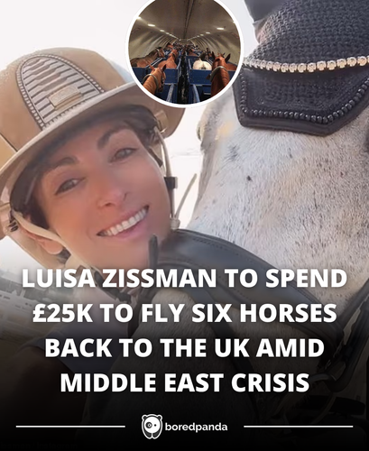 LUISA ZISSMAN TO SPEND £25K TO FLY SIX HORSES BACK TO THE UK AMID MIDDLE EAST CRISIS.png