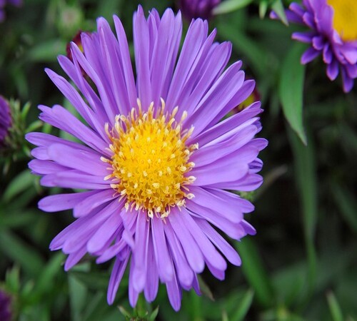 October 2012  8/10/12  08/10/2012 photo shoot for what to to now with Adam Pasco photographer Tim Sa.jpg