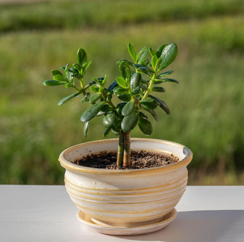 Bwy9TsKD4ISErCeu3WNX5YBXMtPT joL A4Ios5B6a3N0dqX3nkVAv8X7PipmOeP1tgwVAKhFBKU4Ui0OuI5zXSNeAJHDv3DWNrf.jpg