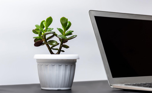 WeDdy9rjwo 7sYgBv5LrpOCX5PEz14GWFLJilSbKOXBx5FiDcUJYnCfoLjMKPBDK j4Hb lLka8c LXxnAEbASNpjO9Lr UbP9gi.jpg