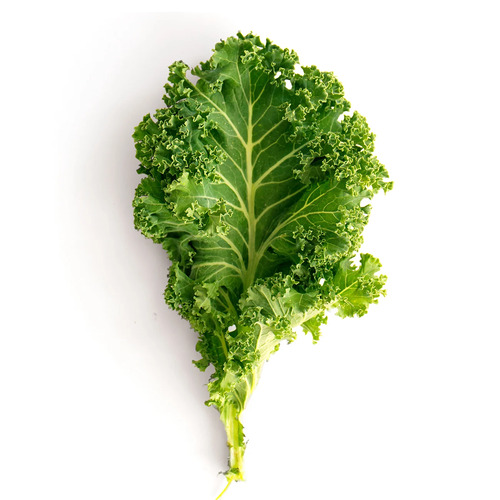 kale vegetable2.jpg