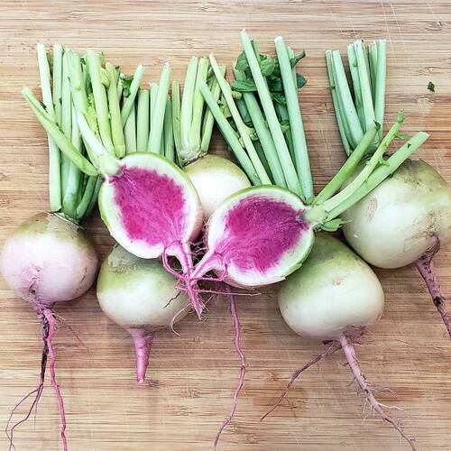 Fresh Watermelon Radish.jpg