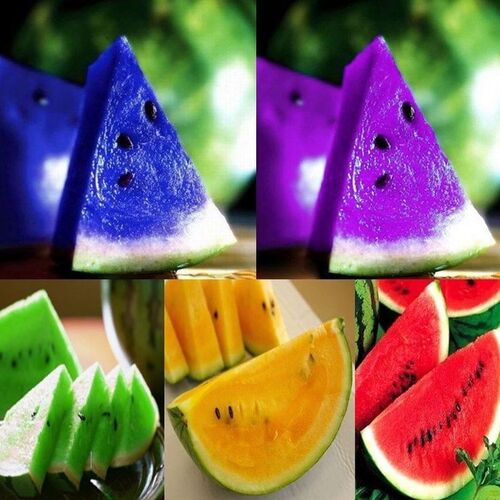 watermelon fruit2.jpg