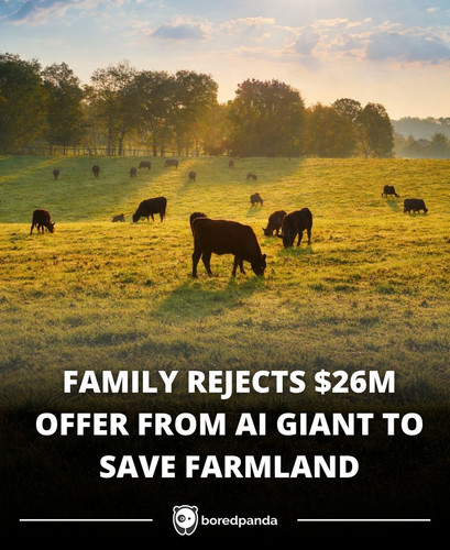FAMILY REJECTS $26M OFFER FROM AI GIANT TO SAVE FARMLAND (1).jpg