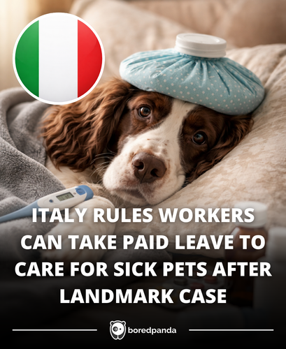 299. Italy allows workers to take paid emergency leave to care for sick pets with proper veterinary .png