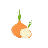 depositphotos 703364066 stock illustration onion whole onion cut onion removebg preview