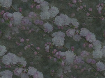 MINOLTA DIGITAL CAMERA.jpg