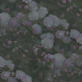 MINOLTA DIGITAL CAMERA