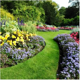 Florida Landscape Designers.png