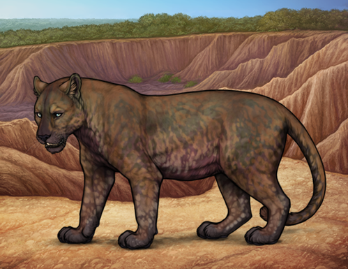 Screenshot 2026 03 16 at 2.36.51 PM.png