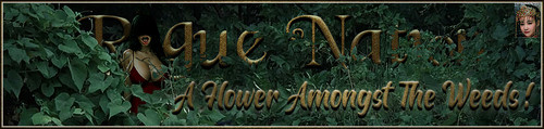 WeedZ Banner.jpg
