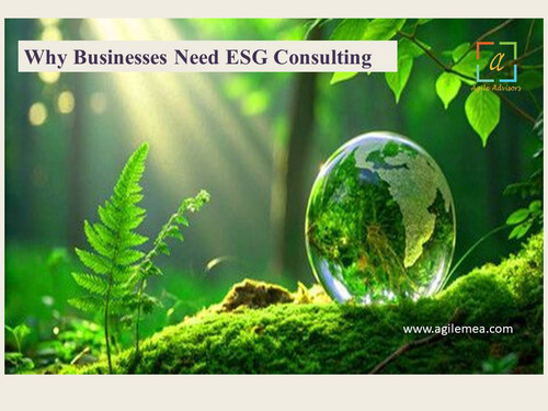 ESG consulting 001.jpg