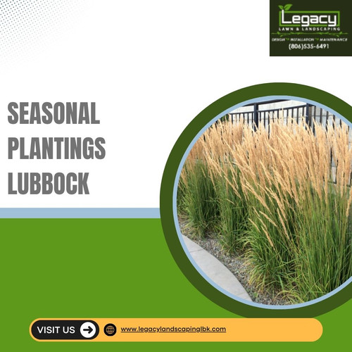 Get Seasonal Plantings Lubbock to Transform Your Landscape.jpg