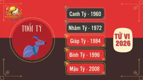 Tử Vi Tuổi Tý Năm 2026 Chi Tiết.webp