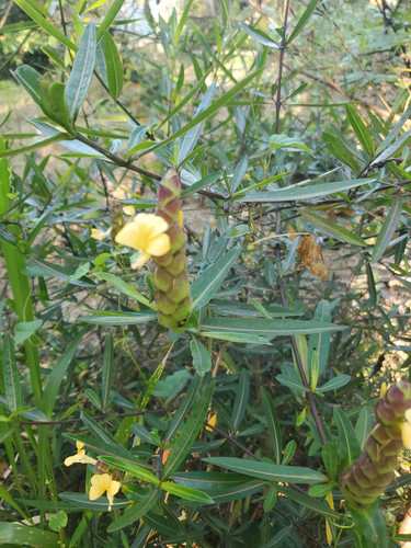 image 1772677318409.jpg