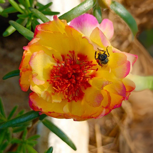 il 1588xN.6485266738 m9fv.jpg