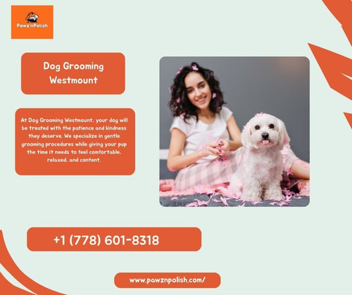 Dog Grooming Westmount.jpg