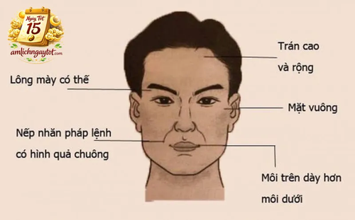 Mệnh lý học.png